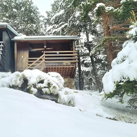 Des Oursons, Capcir Pyrénées Catalanes *
