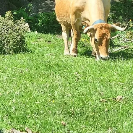 Horská chata Des Oursons, Capcir Pyrenees Catalanes *