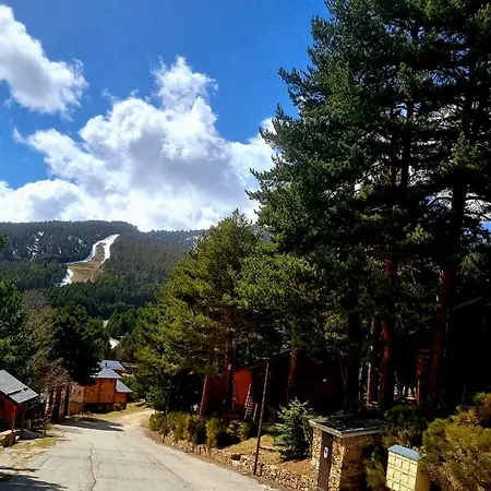 Des Oursons, Capcir Pyrenees Catalanes *