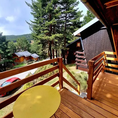 Des Oursons, Capcir Pyrenees Catalanes *