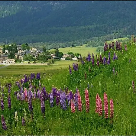 Des Oursons, Capcir Pyrenees Catalanes Puyvalador