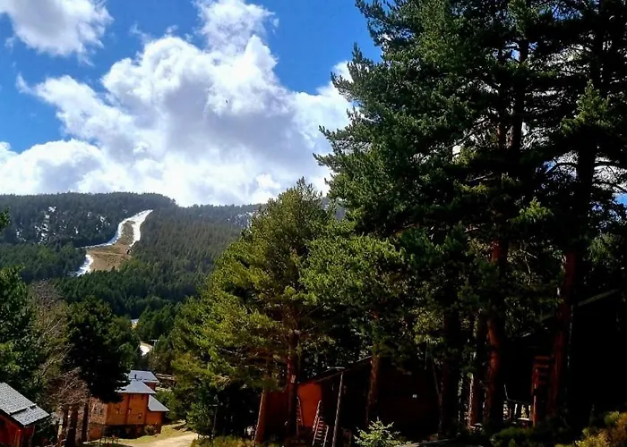 Des Oursons, Capcir Pyrenees Catalanes *